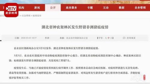 湖北新闻网爆料网,揭秘背后真相,聚焦社会热点 第3张 湖北新闻网爆料网,揭秘背后真相,聚焦社会热点 第3张