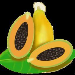 吃瓜贴纸素材下载安装免费,免费下载安装吃瓜贴纸,轻松打造趣味文章副标题 第2张 吃瓜贴纸素材下载安装免费,免费下载安装吃瓜贴纸,轻松打造趣味文章副标题 第2张