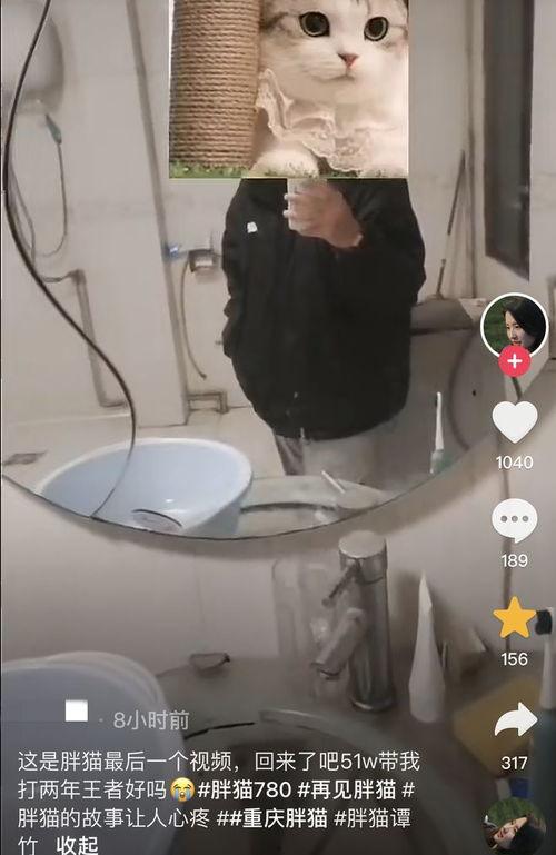 胖猫最新爆料视频,揭秘娱乐圈惊人内幕！